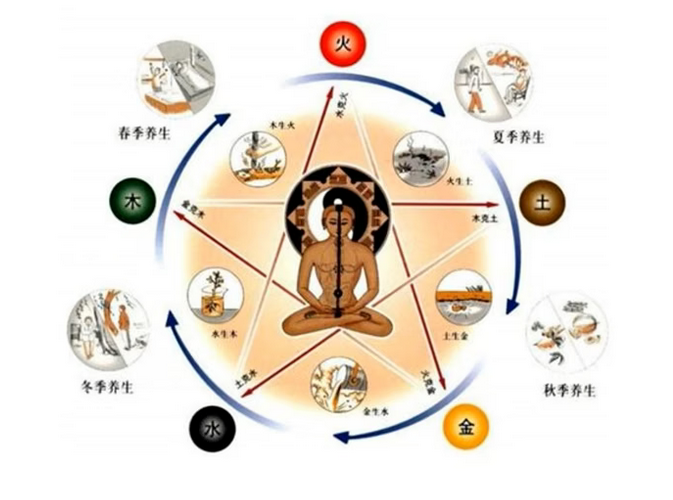Médecine Traditionnelle Chinoise en E-learning - ETSN